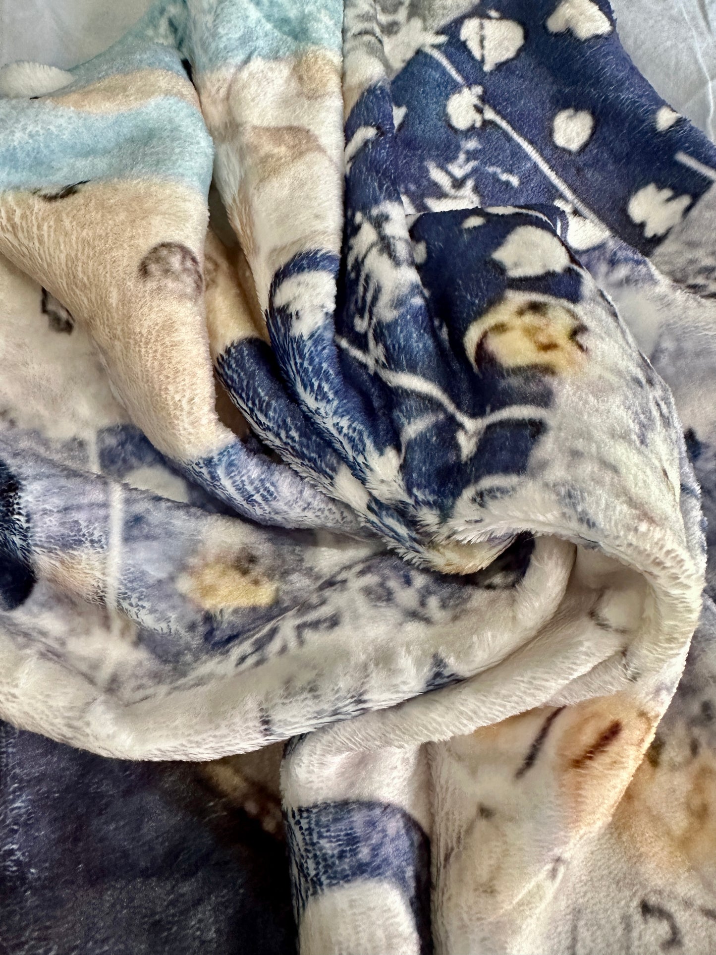 whimsy and me, multi colored, mixed media, girl, brunette, framed, recycled frame, blue eyes, whimsical girl, flowers, gold, healing, letting go, minki blanket, soft, snuggly, cosy, queen bed